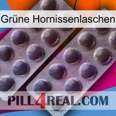 Grüne Hornissenlaschen 31